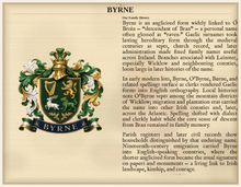 
Carregar imagem no visualizador da galeria, Sample Last Name Origin PDF — The Byrne Family — dense Standard layout, coat of arms left, surname history right — Herald Lab SAMPLE
